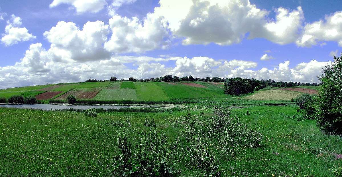 �������� ���� ����� ���� ������ �� PhotoGeek.ru #������ ��� ������� #������