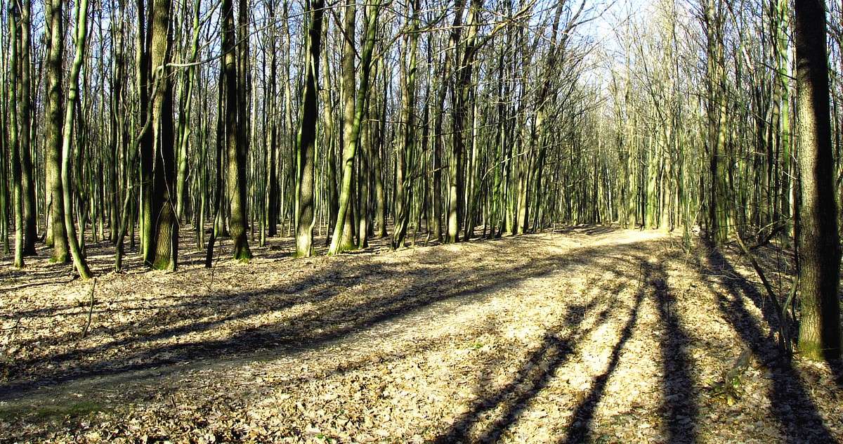 ������� ����� ���� ������ �� PhotoGeek.ru #������ ��� �������