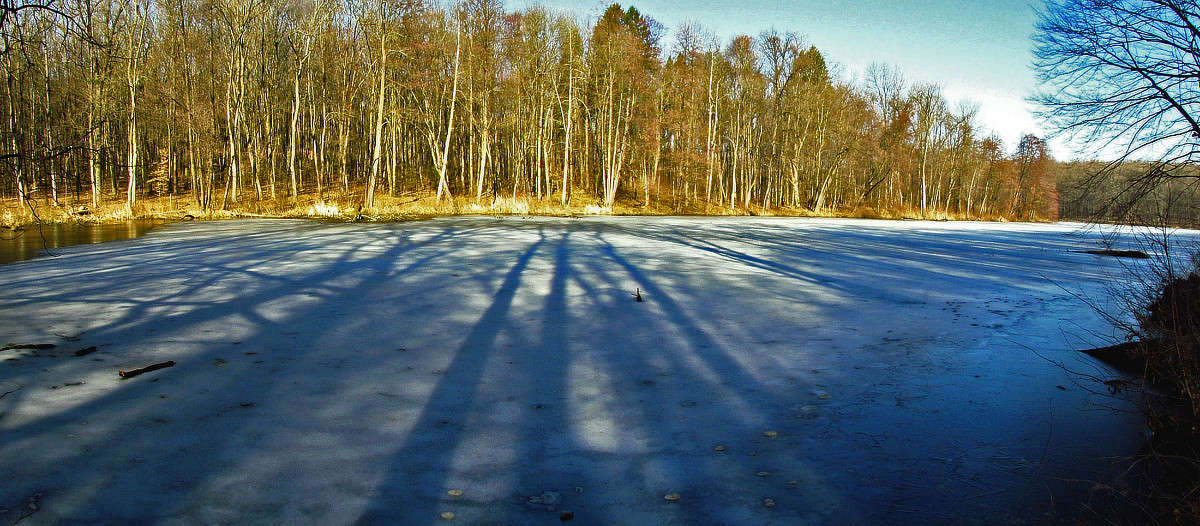 ������ ���� ����� ���� ������ �� PhotoGeek.ru #������ ��� �������