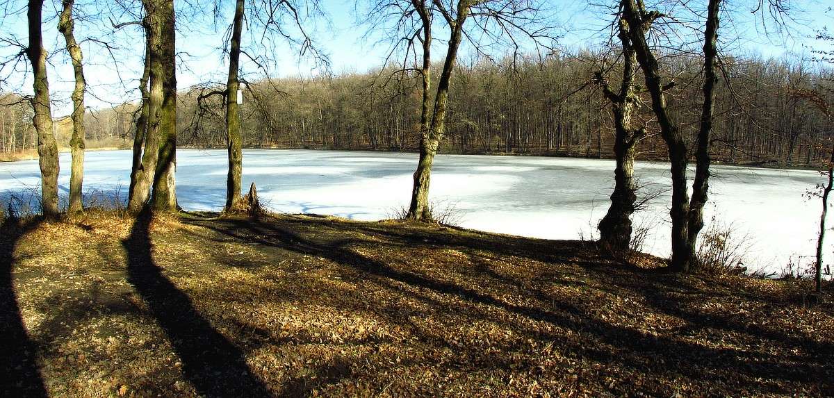 �� ������ ����� ���� ������ �� PhotoGeek.ru #������ ��� �������