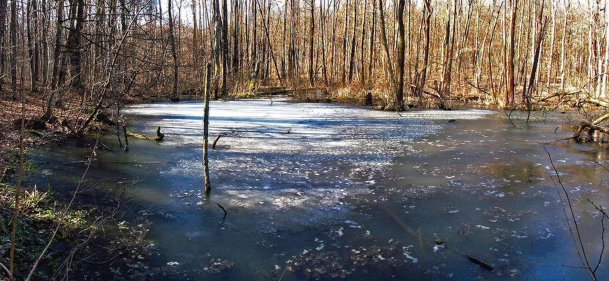 ����� ���� ����� ���� ������ �� PhotoGeek.ru #������ ��� �������