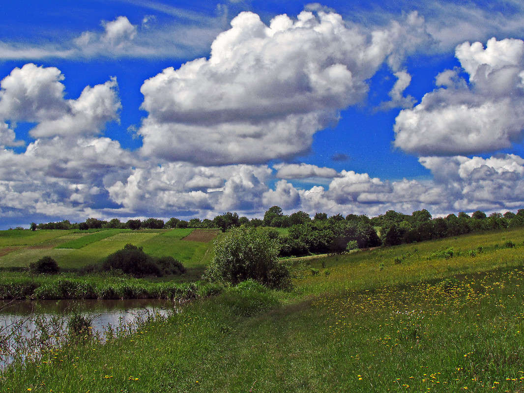 ���� ����� ���� ������ �� PhotoGeek.ru #������ ��� �������