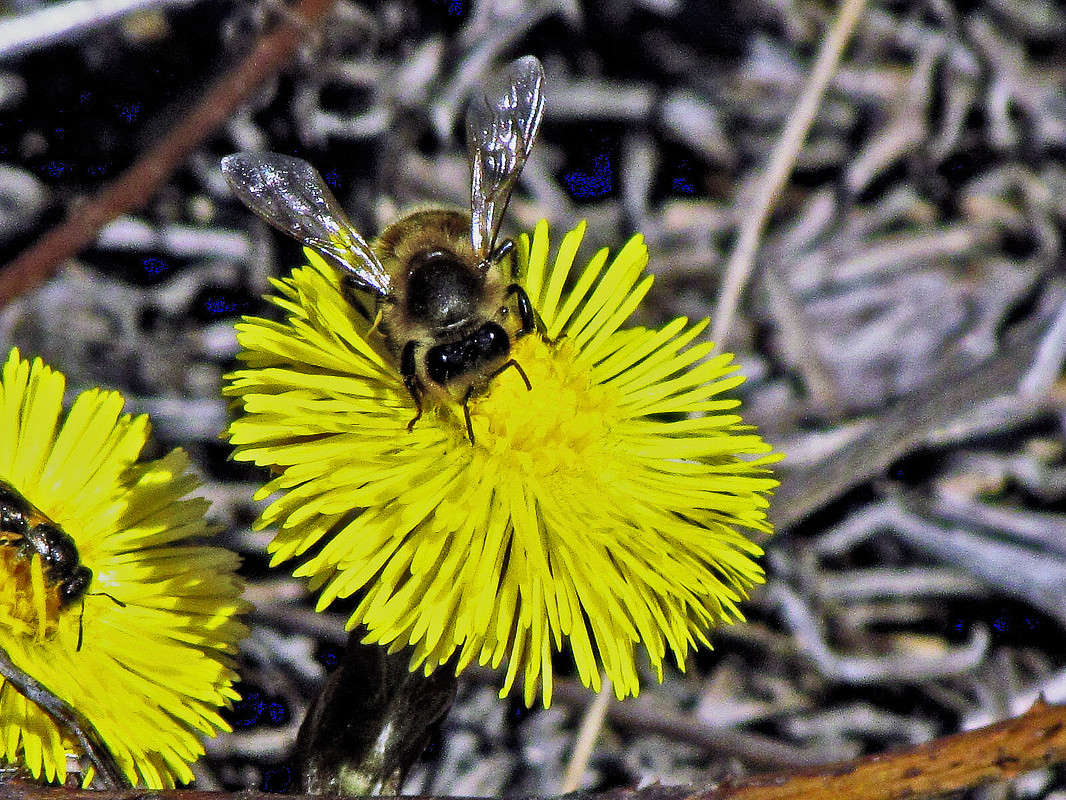 ������ ����� ����� ���� ������ �� PhotoGeek.ru #�����