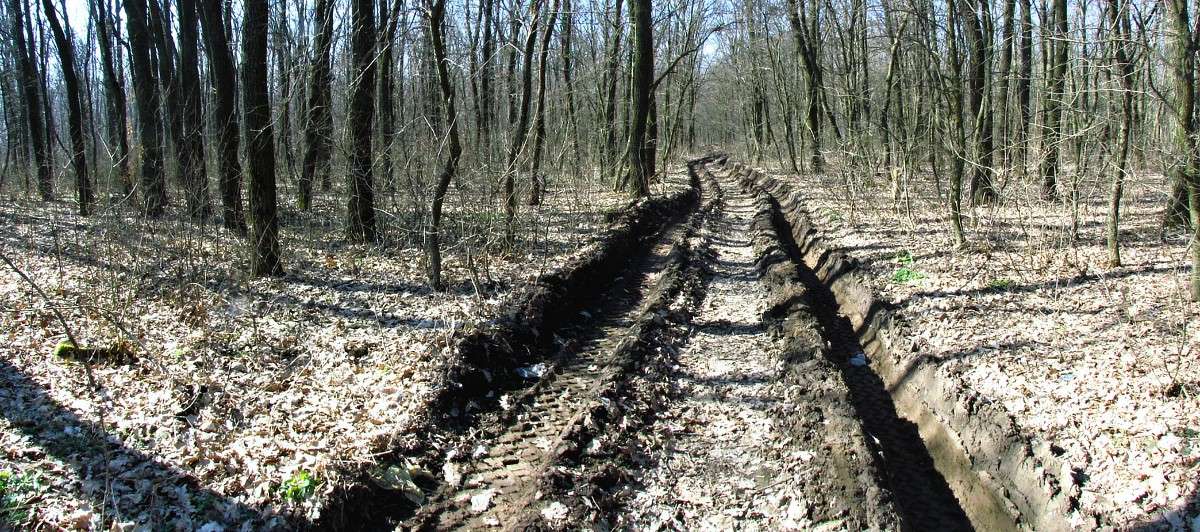 ������ ������ ����� ���� ������ �� PhotoGeek.ru #������ ��� �������