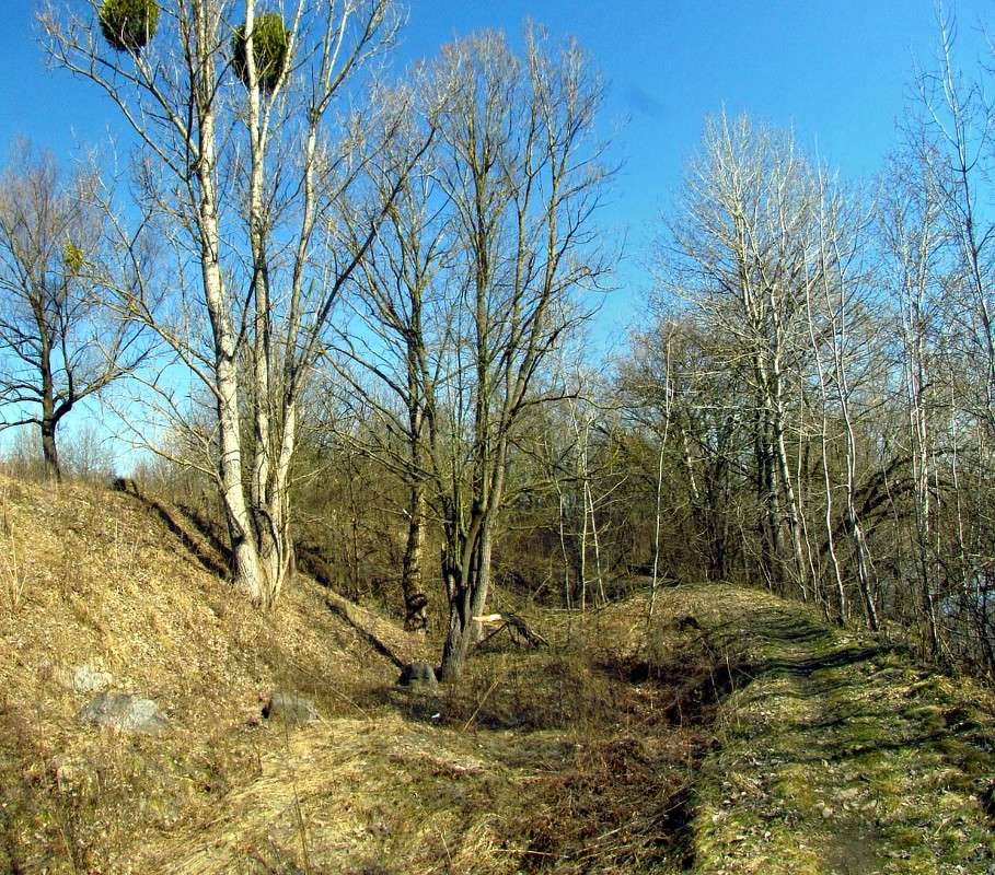 ����� ���� ����� ���� ������ �� PhotoGeek.ru #������ ��� �������