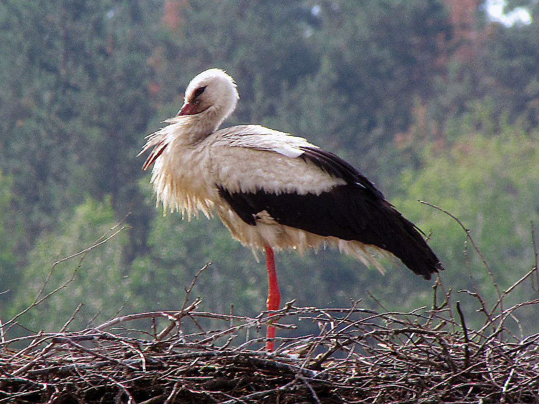 ���� ����� ���� ������ �� PhotoGeek.ru #�������� ����������