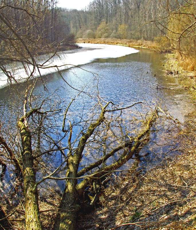 �� ����� ����� ���� ������ �� PhotoGeek.ru #������ ��� �������