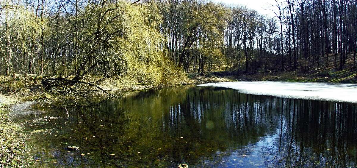 �������� ���� ����� ���� ������ �� PhotoGeek.ru #������ ��� �������