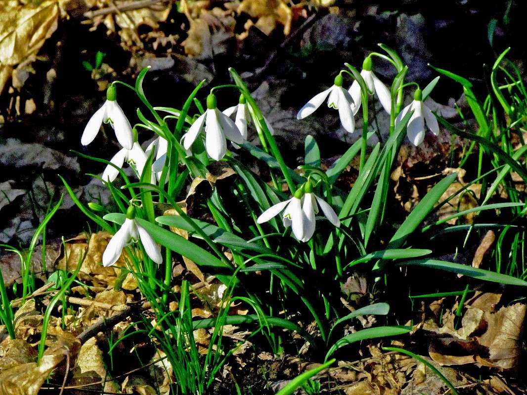 ������ ����� ����� ����� ���� ������ �� PhotoGeek.ru #�������� ����������