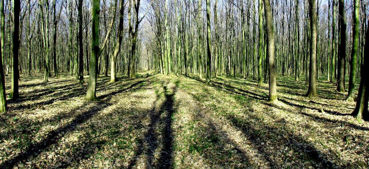 � ���� ����� ���� ������ �� PhotoGeek.ru #�������� ����������