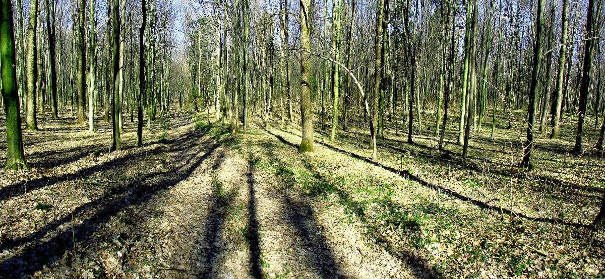 ������ ����� ����� ���� ������ �� PhotoGeek.ru #������ ��� �������