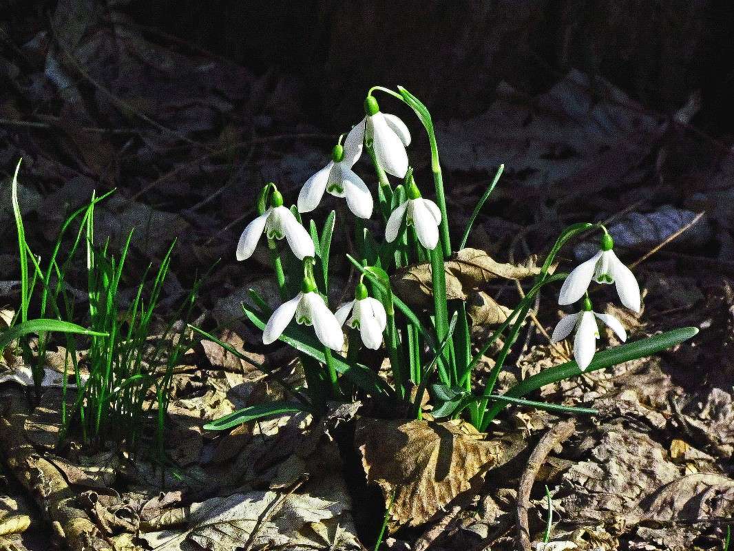 ����������� ����� ���� ������ �� PhotoGeek.ru #�������� ����������