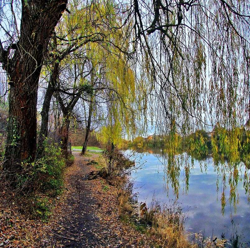 ����� ����� ���� ������ �� PhotoGeek.ru #������ ��� �������