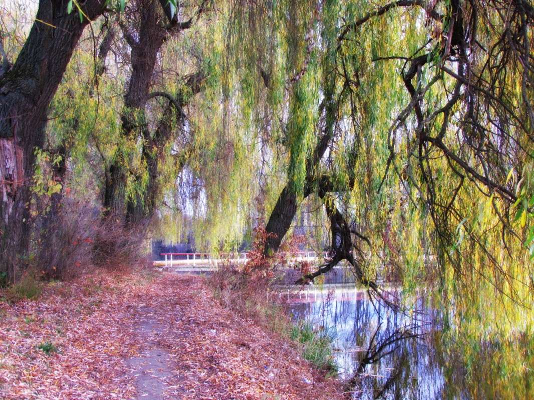 ������� ������ ����� ���� ������ �� PhotoGeek.ru #������ ��� �������