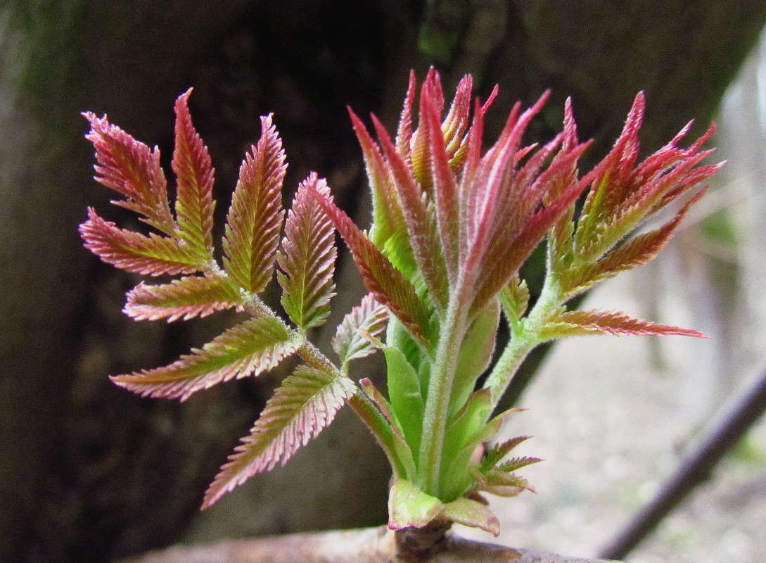 ����� ����� ���� ������ �� PhotoGeek.ru #�����