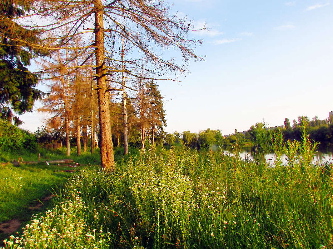 ���� ����� ���� ������ �� PhotoGeek.ru #������ ��� �������