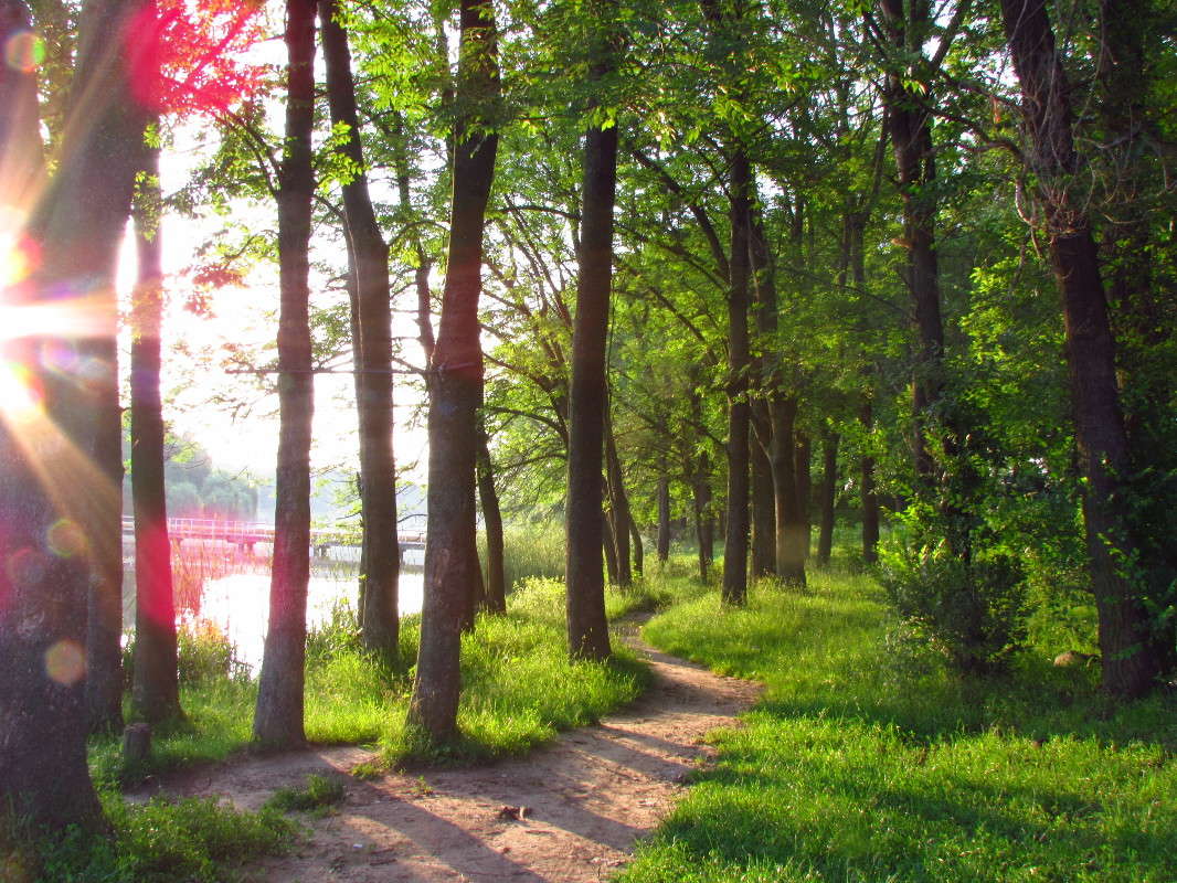 ���� ����� ���� ������ �� PhotoGeek.ru #������ ��� �������