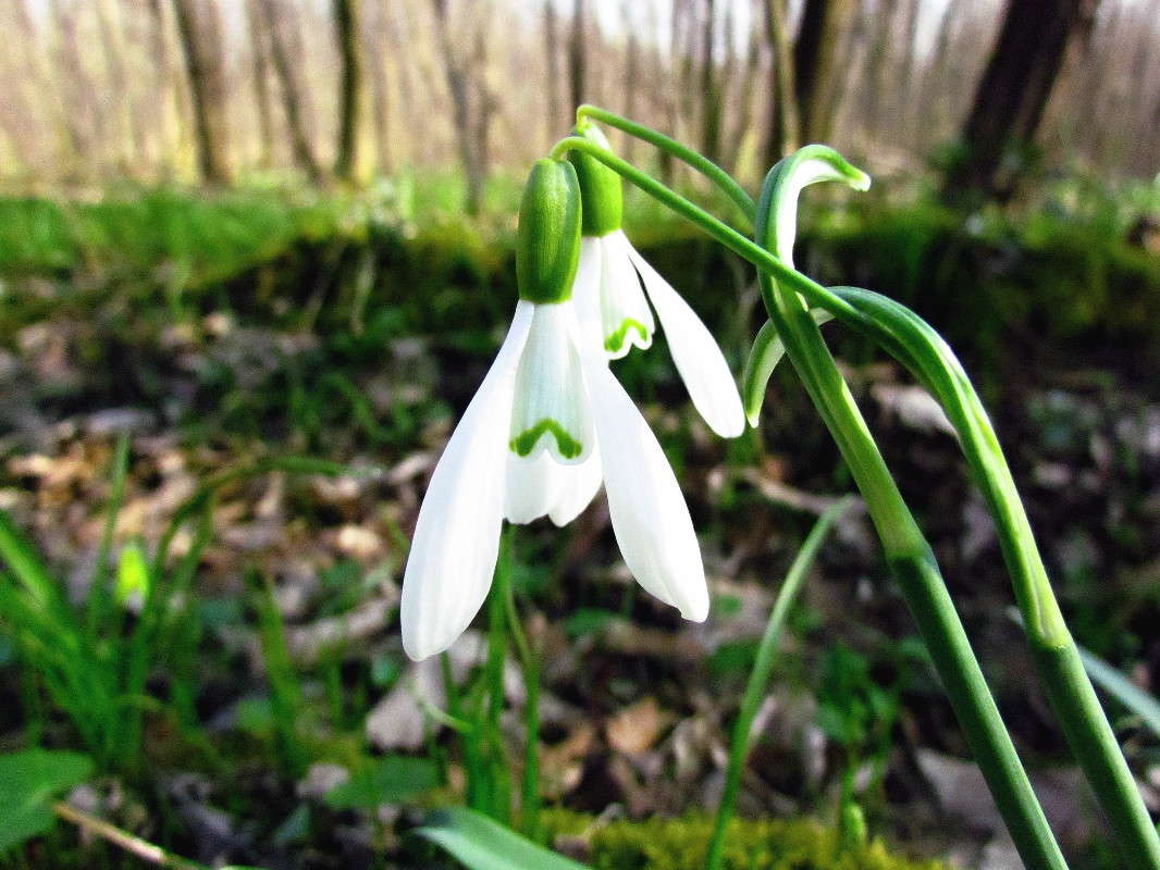 ���������� ����� ���� ������ �� PhotoGeek.ru #������ ��� �������