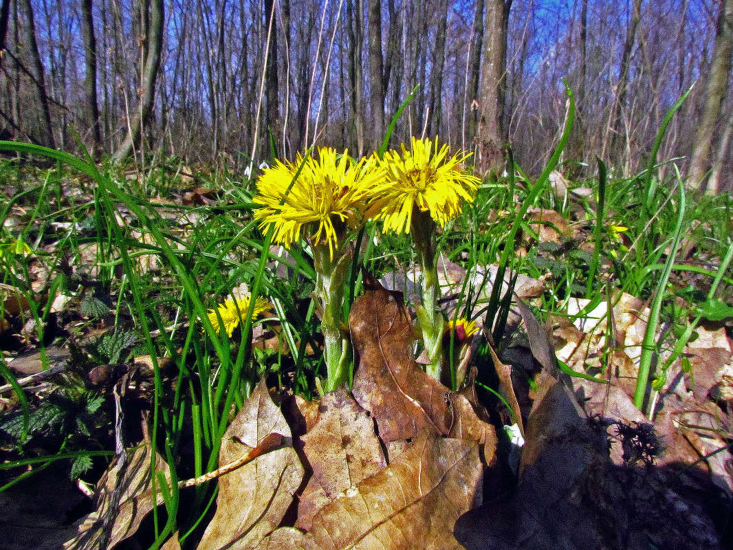 ������ ����� ����� ���� ������ �� PhotoGeek.ru #������ ��� �������