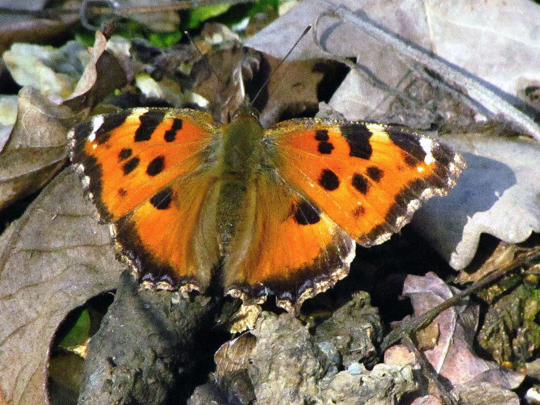 ����� ������ ����� ���� ������ �� PhotoGeek.ru #�����