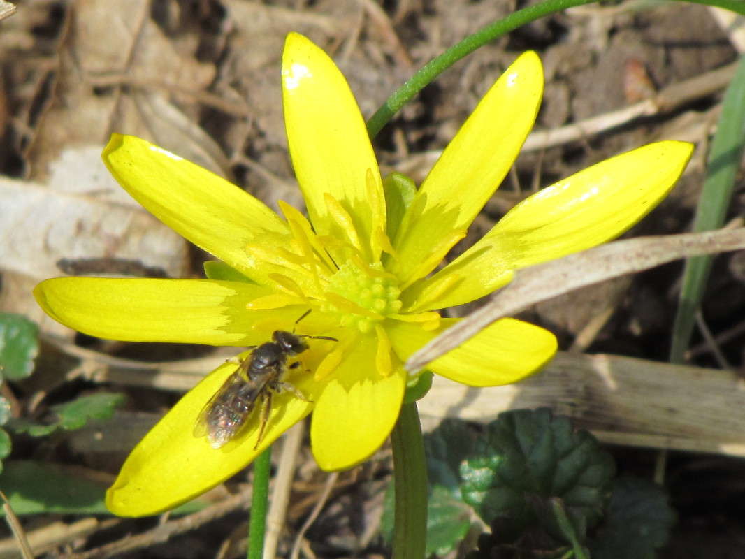 ... ����� ���� ������ �� PhotoGeek.ru #�����