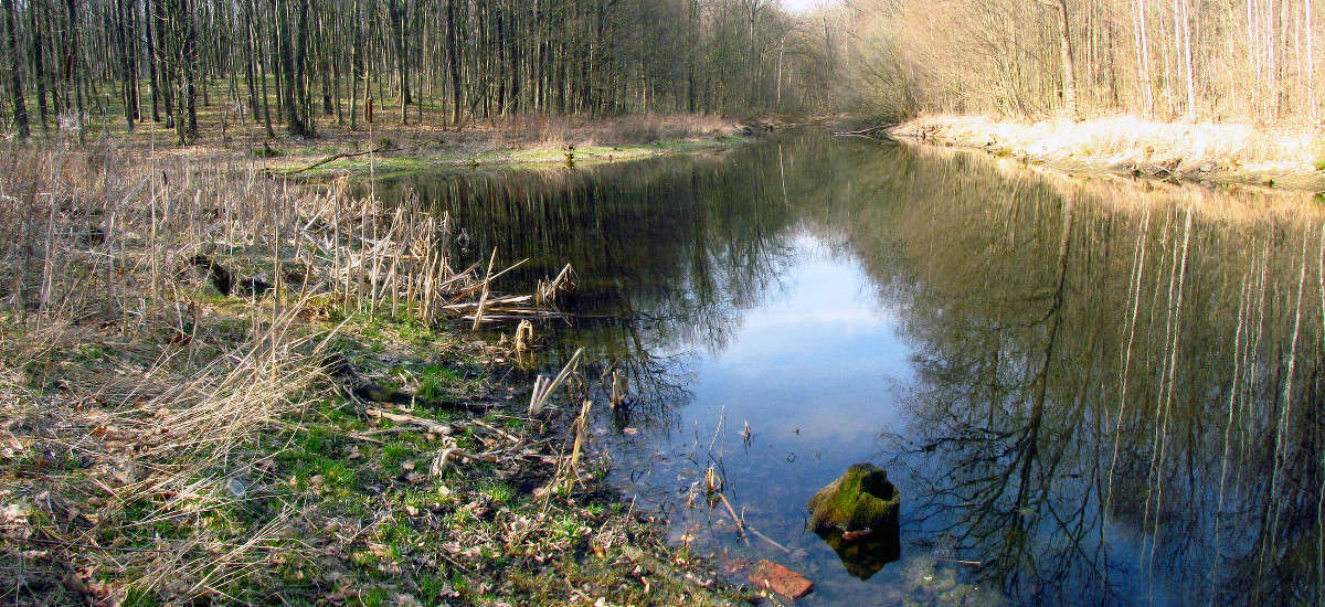 ������ ����� ����� ���� ������ �� PhotoGeek.ru #������ ��� �������