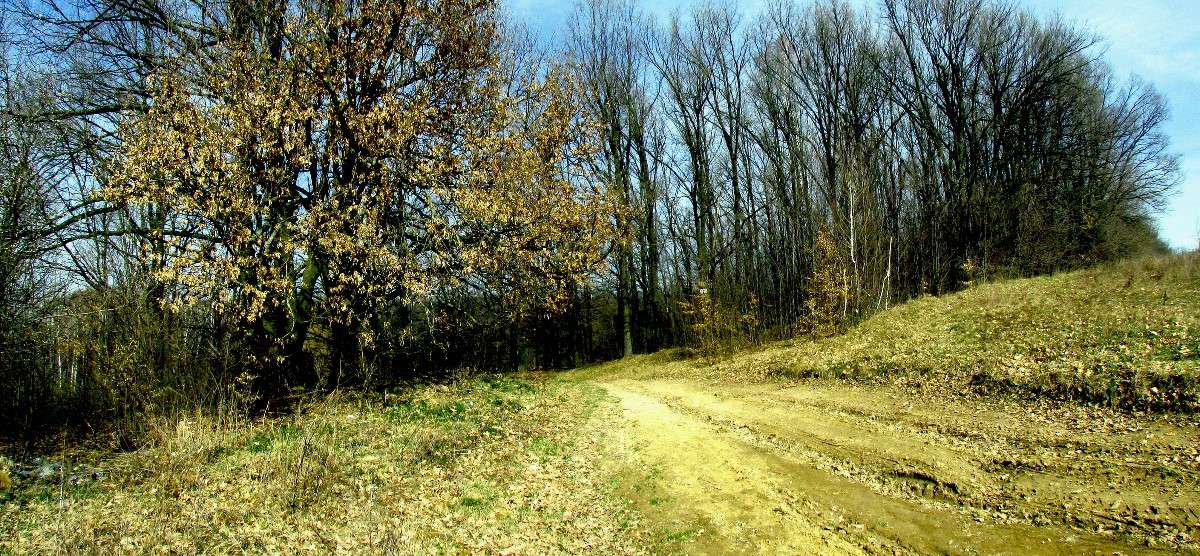 �������� ������ ����� ���� ������ �� PhotoGeek.ru #������ ��� �������