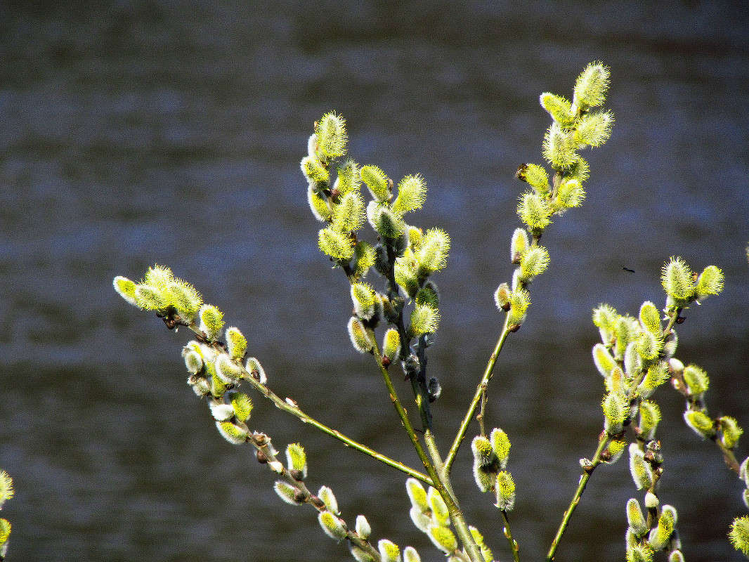 ����� ����� ���� ������ �� PhotoGeek.ru #�������� ����������