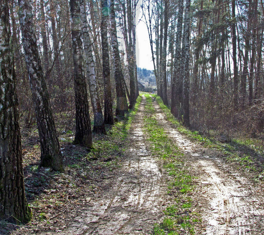 ������ � ���� ����� ���� ������ �� PhotoGeek.ru #������ ��� �������