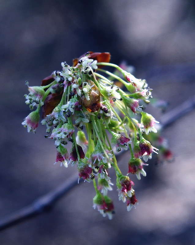 ����� ����� ���� ������ �� PhotoGeek.ru #�����