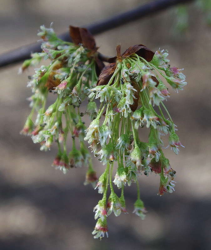 ����� ����� ���� ������ �� PhotoGeek.ru #�����