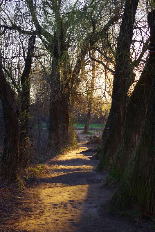 ���� ����� ���� ������ �� PhotoGeek.ru #�������� ����������