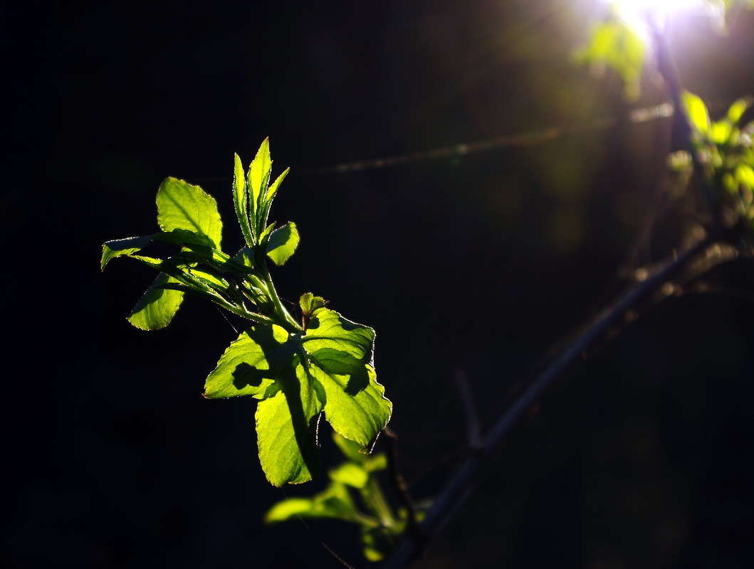 ���� � ���� ����� ���� ������ �� PhotoGeek.ru #�����