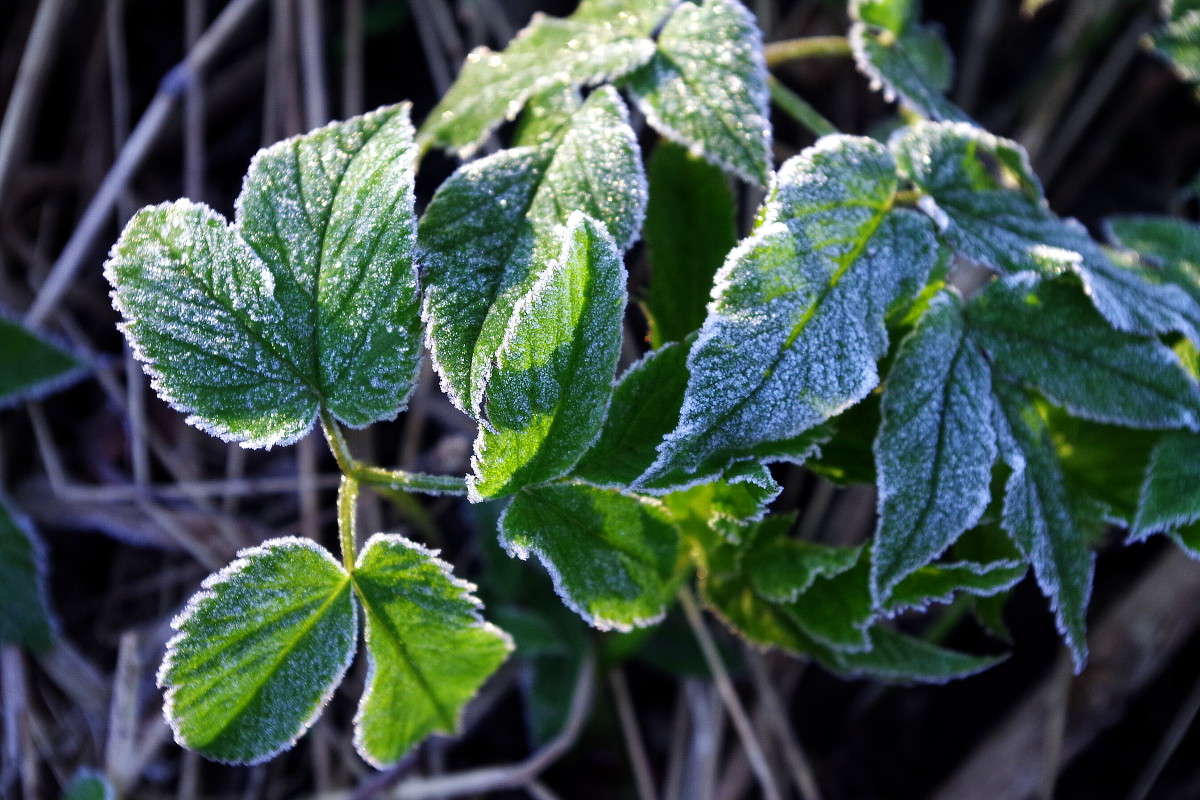 ��������� ��������� ����� ���� ������ �� PhotoGeek.ru #�����