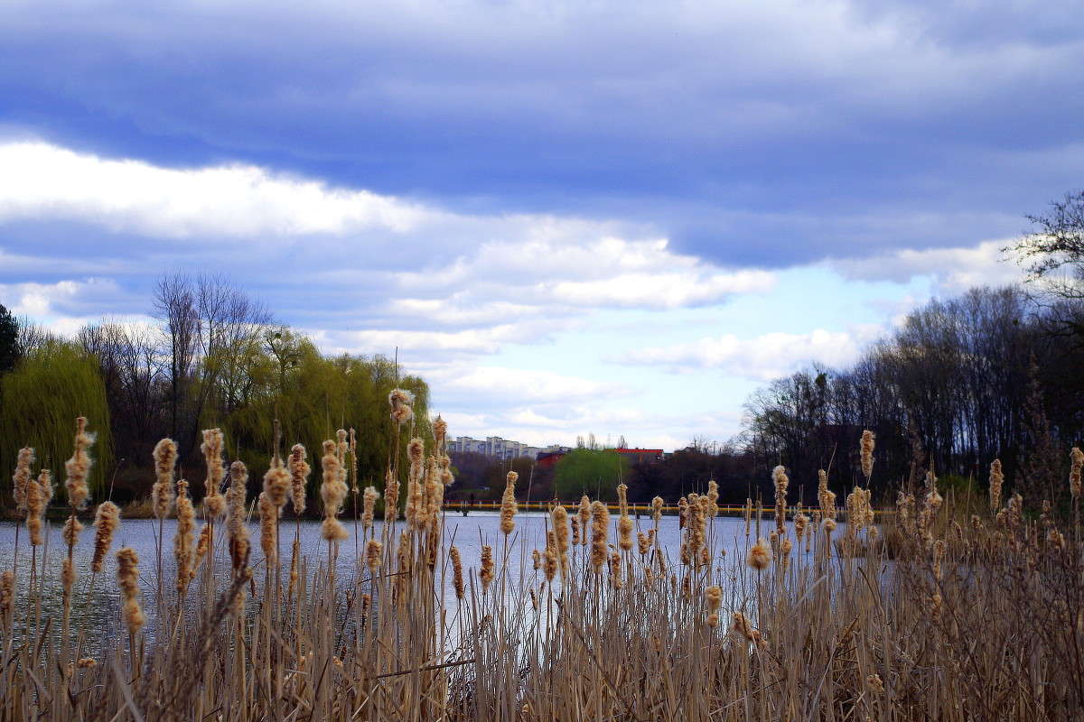 ����� ����� ���� ������ �� PhotoGeek.ru #�������� ����������