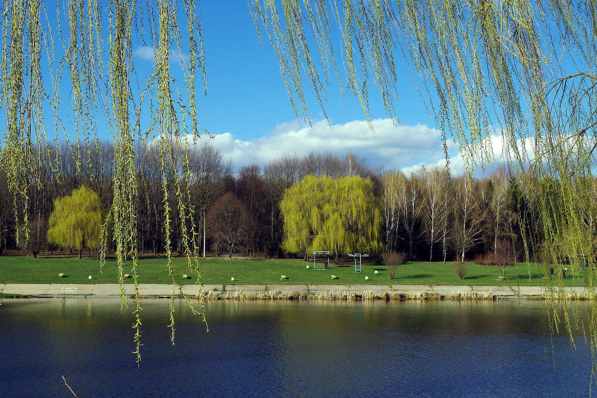 �������� ������ ����� ���� ������ �� PhotoGeek.ru #������ ��� ������� #������