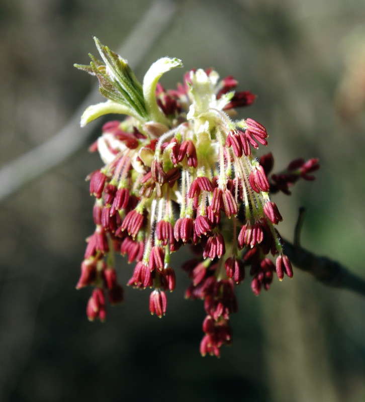 ����� ����� ���� ������ �� PhotoGeek.ru #�����