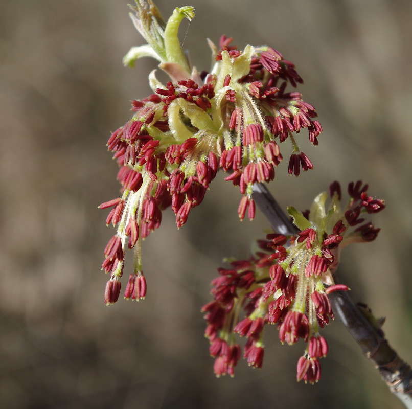 ��� ����������.. ����� ���� ������ �� PhotoGeek.ru #�����