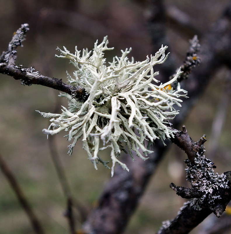 �������� ����� ���� ������ �� PhotoGeek.ru #�����