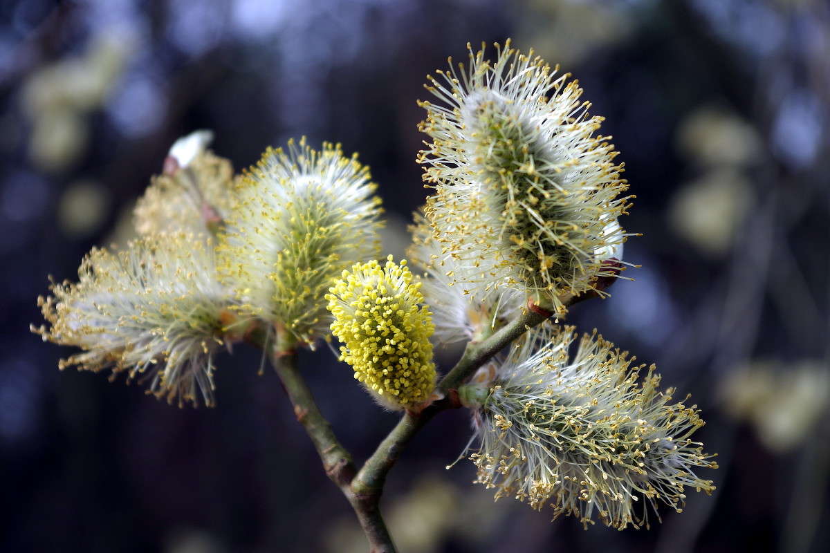 ����� ����� ����� ���� ������ �� PhotoGeek.ru #������ ��� �������