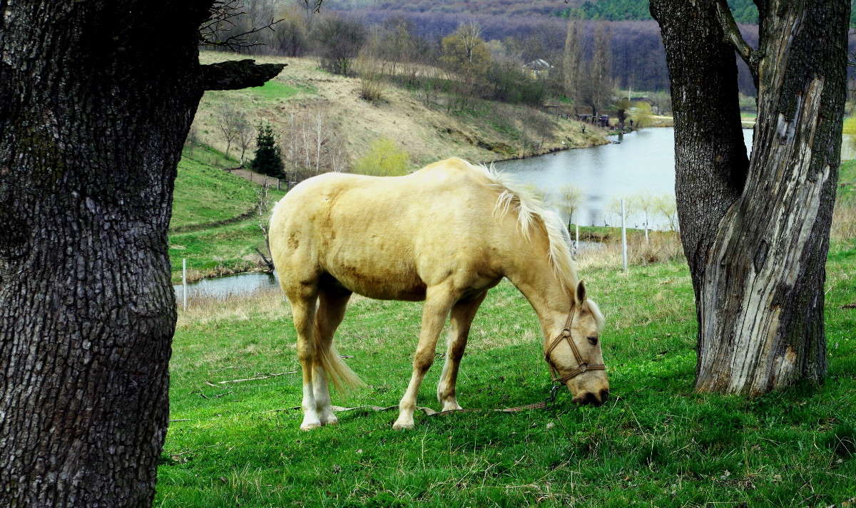 �� ������ ����� ���� ������ �� PhotoGeek.ru #�������� ��� #�������� ����������