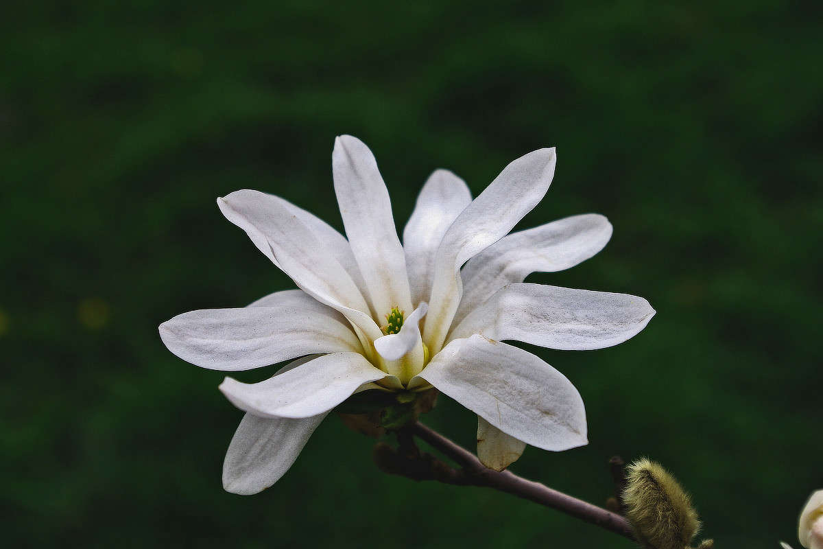 ������ ������� ����� ���� ������ �� PhotoGeek.ru #�����