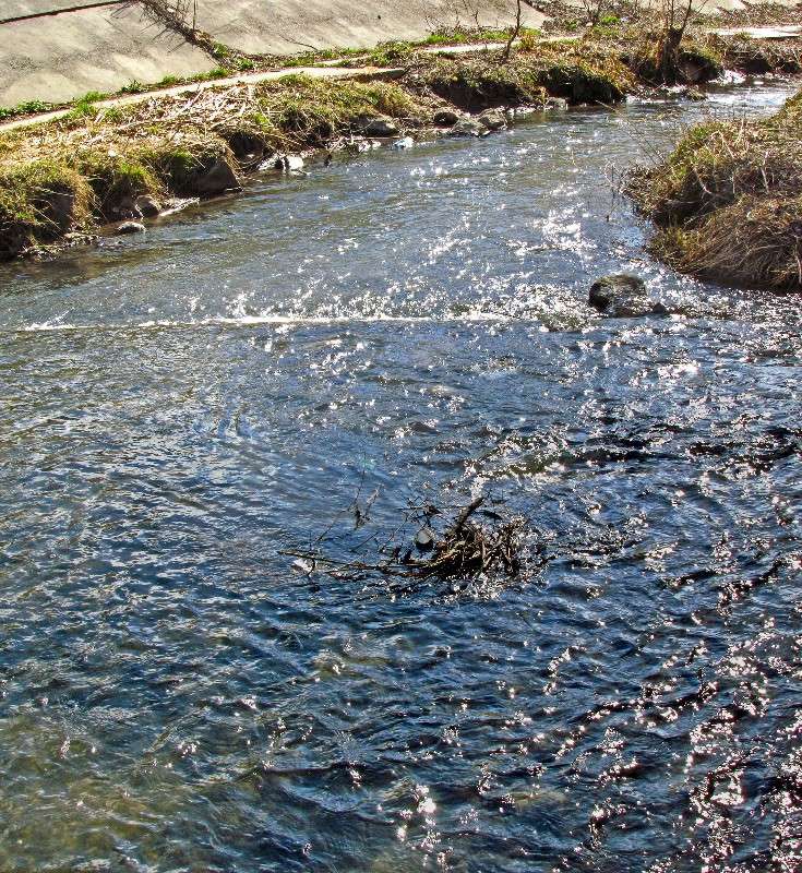 ����� ����� ���� ������ �� PhotoGeek.ru #������ ��� �������