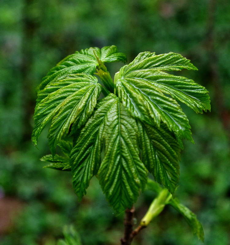 ����� ����� ���� ������ �� PhotoGeek.ru #�����