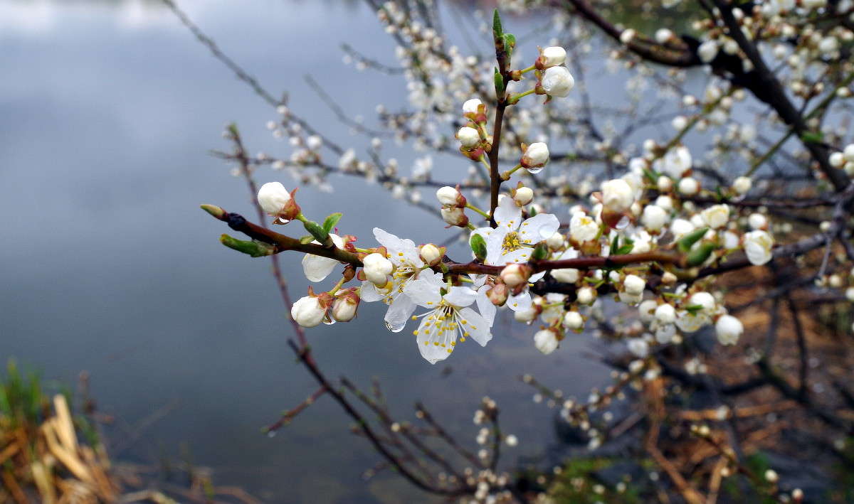 ��� ������ ����� ���� ������ �� PhotoGeek.ru #������ ��� �������