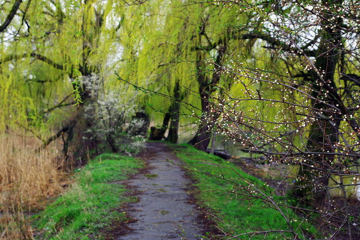 ������ ����� ���� ������ �� PhotoGeek.ru #�������� ����������