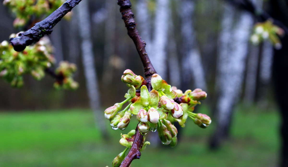 ����� ����� ���� ������ �� PhotoGeek.ru #�����