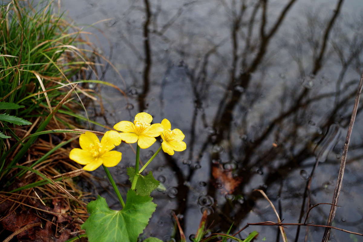 � ���� ����� ���� ������ �� PhotoGeek.ru #������ ��� �������