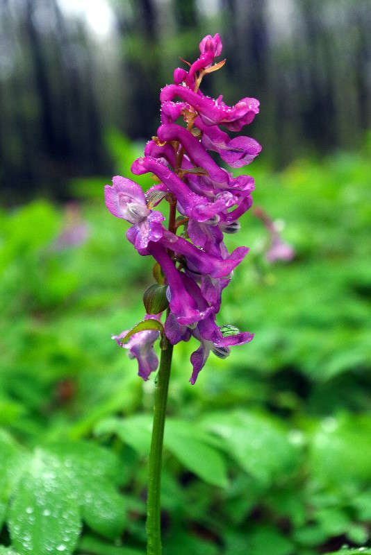 ������ ����� ����� ���� ������ �� PhotoGeek.ru #������ ��� �������