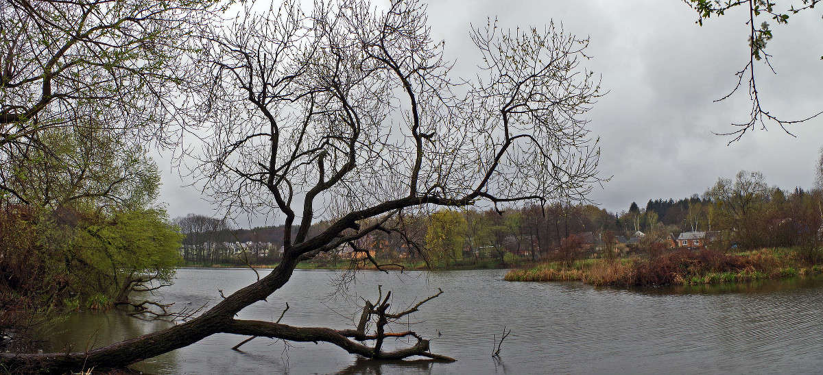 �������� ������ ����� ���� ������ �� PhotoGeek.ru #������ ��� �������